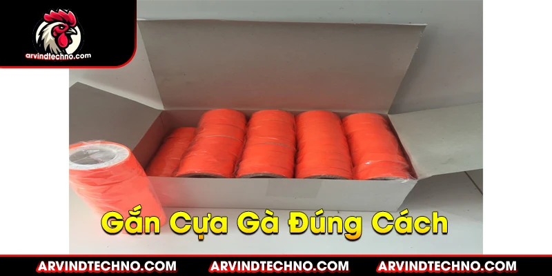 Gắn Cựa Gà Đúng Cách, Vững Chắc, An Toàn