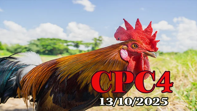 Phát lại đá gà Campuchia C4 ngày 13/10/2025